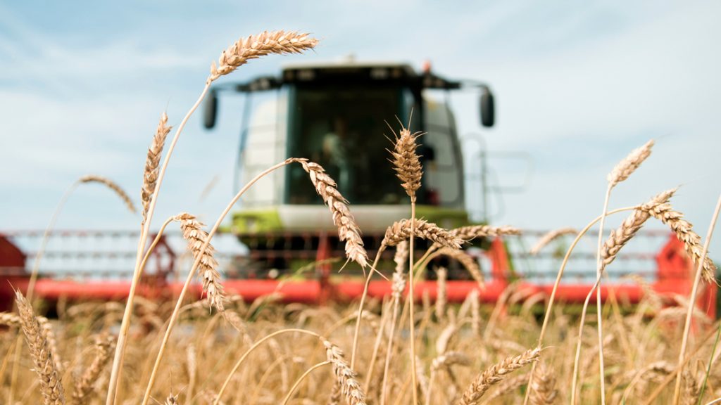SellMyLiveStock-Harvester