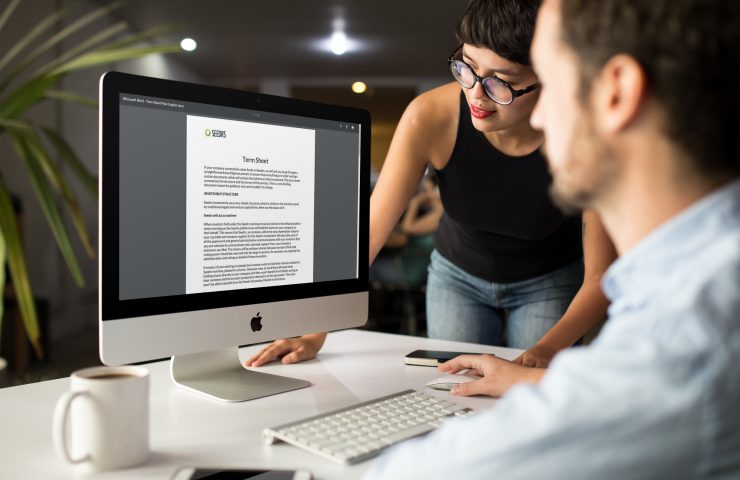 The Seedrs’ plain English Term Sheet. See for yourself just how easy it is to raise with us