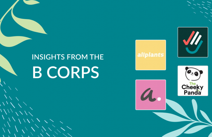 Insights from the B Corps